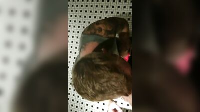 Public Fun Redheads - Amateur Oral Outside Public