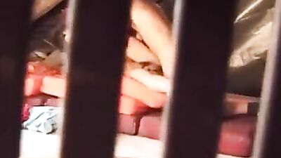 Cherry Frenzy: A Bareback Adventure