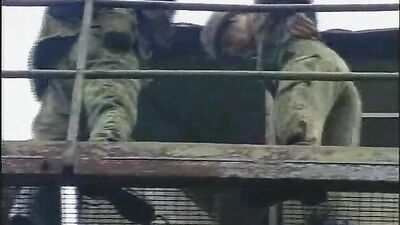 Forest Fire: Bareback Cum Shots - Vintage Gay Porn Video