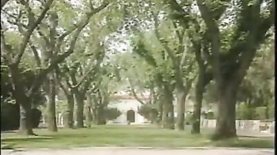 Vintage Head of the Class - A Gay Porn Classic!