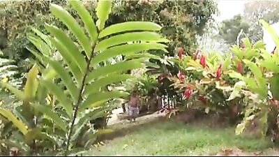 Jungle Heat: Latino Barbecue Action