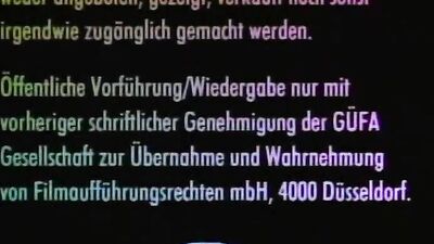 Wild Boys - A Vintage Masterpiece of Gay Porn