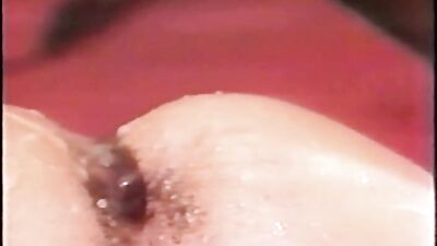 California Student Bodies (1983)