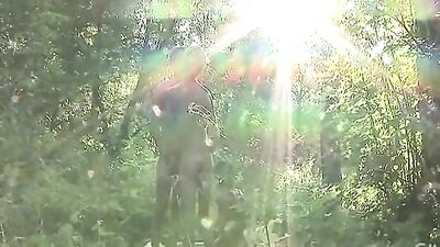 1116 Action Vintage - The Ultimate Gay Porn Experience!