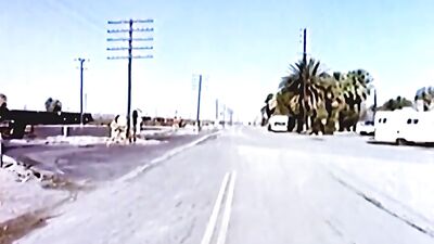 Gay Experimentation: A Jaguar Classic