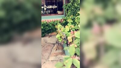 Gay Cactus Asses^^^ (37 Characters)