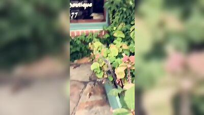 Gay Cactus Asses^^^ (37 Characters)