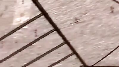 Young Food Store Explorer