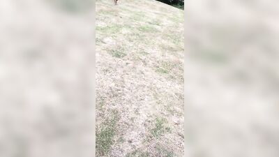 Swollen Pack Action Amateurs Big Cocks: The Ultimate Gay Porn Experience!