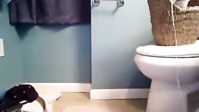 Gay Porn Cutie Bathroom Wank Amature Cum Shots Handjob - A Hot & Steamy Video for Gay Lovers!