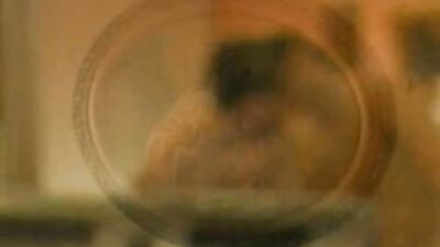 Two Dudes Rim, Suck, and Fuck in front of Teddy Bear: Bareback Action with Feet-Loving