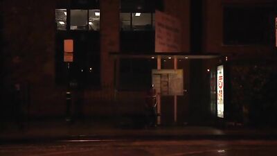 Young Bastards Volume 12: Action Bareback Big Cocks (Limited Edition)