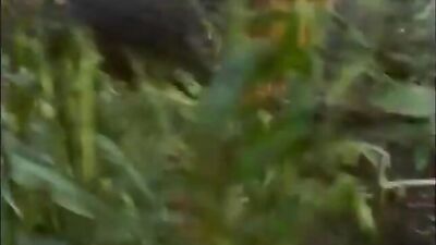 Myths From My hood: Aba Lane 8 Gay Porn Video