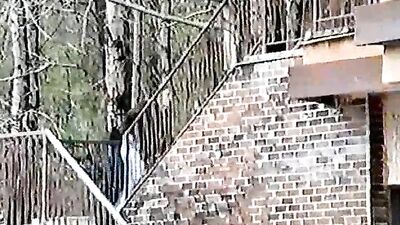 Unknown from 1960's Gay Teen Porn Video