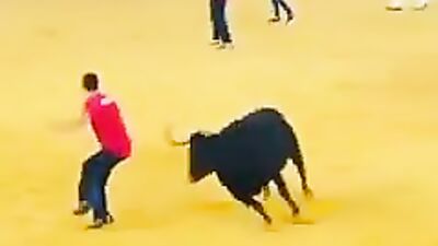 This time the bull wins