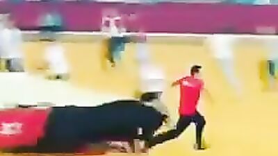 This time the bull wins