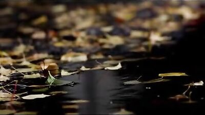 En Eftermiddag * Short film gay theme