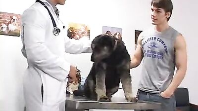 A warm appointment with my veterinarian