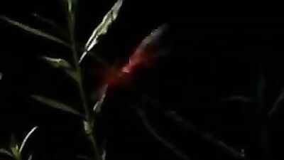 Double Dose of Twink Action: Blond Bombshells Reign Supreme!