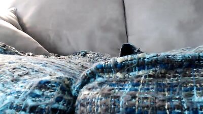 Raw Amateur Cumshots & Handjobs: Revamped Cam 8133!