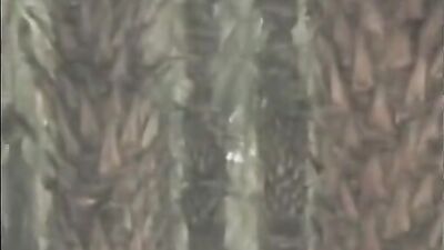 Group Of Vintage Twinks - Ass Play Bareback Group Sex Gays From The Past!