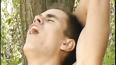 Forest Cum Swallow - Young and Hungry