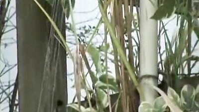 Latino Twinks in the Park: Outdoor Cumshots and Passionate Sex!