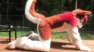 Furry Fuck Machine: Furry boy gets f*cked by machine!