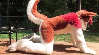 Furry Fuck Machine: Furry boy gets f*cked by machine!