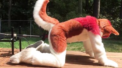 Furry Fuck Machine: Furry boy gets f*cked by machine!
