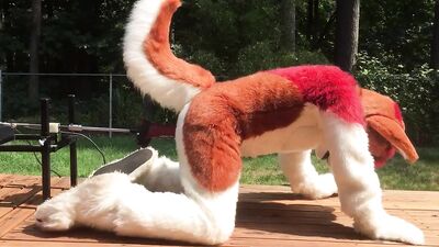 Furry Fuck Machine: Furry boy gets f*cked by machine!