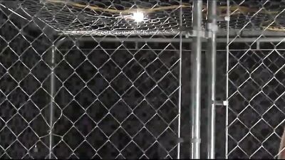 Raw Thrust: Bareback Oral Cum Shots with Horny Boys!