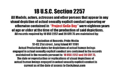 Gogo Boy: Harder Than Ever! Bareback Action