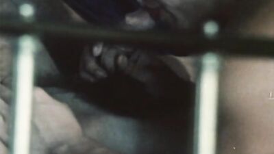 Buster Returns to Laguna: 25th Anniversary Edition