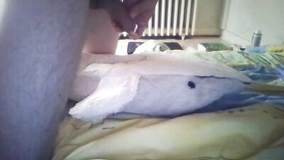 Action Amature Cum Shots Cam 8588: Gay Porn Adventure!