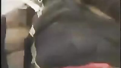 Gay Porn - Awakening Her Friend for Hot Sex!