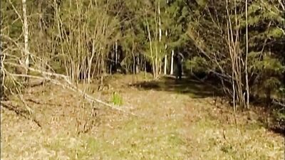 Gay Twinks Go Wild in the Forest!