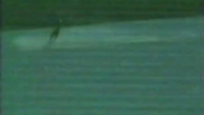 Outdoor Thrills: Unleashing the Wild Side with 4 Horny Boys!