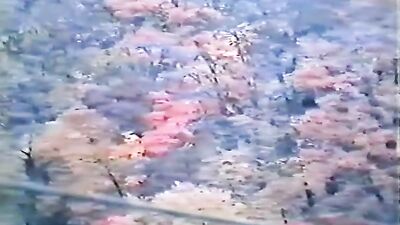 Asian JAV Boys: Incredible Gay Sex Adventures!