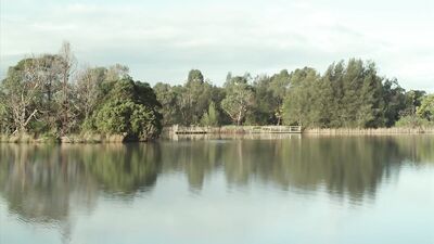 Gay Porn Fish Out Of Water - A Short Film Adventure!