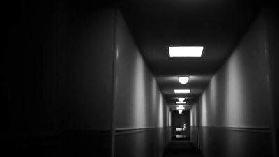 Raw Ass Action - Bareback Sex