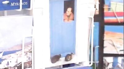 Gay Porn in Mykonos! 2 Boys Action Packed Cum Shots!