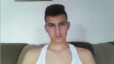 Young Cocks Cumming: A Sensual Gay Porn Experience!