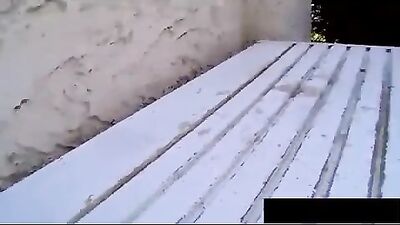 Hard & Bareback Twinks Outdoors