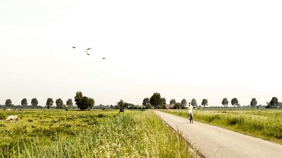 Blond Boys Short Films - The Best Gay Pleasure