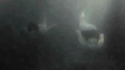 Blond Boys Short Films - The Best Gay Pleasure