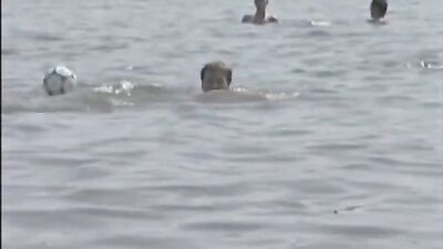 Bare Adventure Returns: The Ultimate Gay Porn Experience!