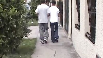 Latino Bareback Cuties - Action BB!