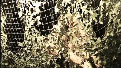 Vintage Action - Vid456: A Journey into Gay Porn Passion!