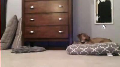 Hands-on Amateur Cum Shots: Cam72 - The Ultimate Gay Porn Experience!